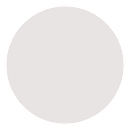 Timeline White Classic Shiplap Touch-Up Paint Color, 8 Ounces 1020